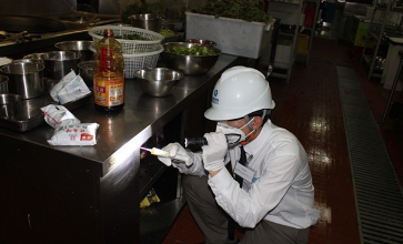 灭蚂蚁服务