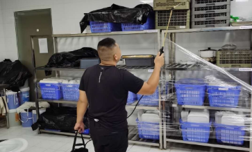 灭蚂蚁产品展示